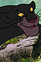 The Jungle Book - Bagheera