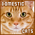 Domestic Cats