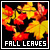 Fall Leaves