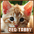 Reg/Orange Tabby Cats