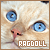 Ragdoll Cats