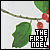 Various Artists: The First Noel