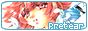 88 x 31 88 x 31